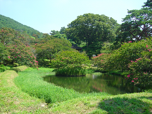 네모난 연못에 둥근 섬이 있는 우리의 정통 정원 연못이다. 연못 주변의 배롱나무와 정자가 어우러져 만들어 내는 풍경은 한국 제일의 정원이라 불릴 만큼 아름답다