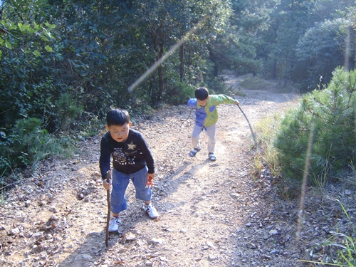 지팡이 집고 오르는 산 작대기 하나씩 가지고 산을 오릅니다. 