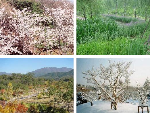 대구수목원 대구수목원의 봄(위 왼쪽), 여름(위 오른쪽), 가을(아래 왼쪽), 겨울(아래 오른쪽) 모습