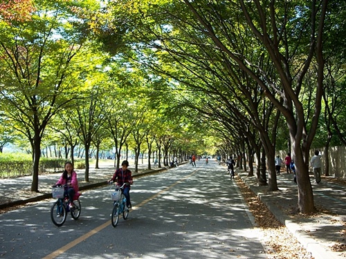 인천대공원은 넓은 자전거길과 보행로가 따로 있을 정도로 넓디 넓은 공원으로 시민들의 사랑을 듬뿍 받고 있습니다.