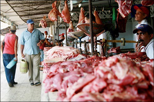 까마구에이는 쿠바에서 소고기 생산량이 가장 많다.
