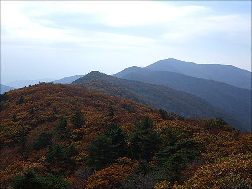 노루목에서 노고단 방면으로 바라본 경치. 　