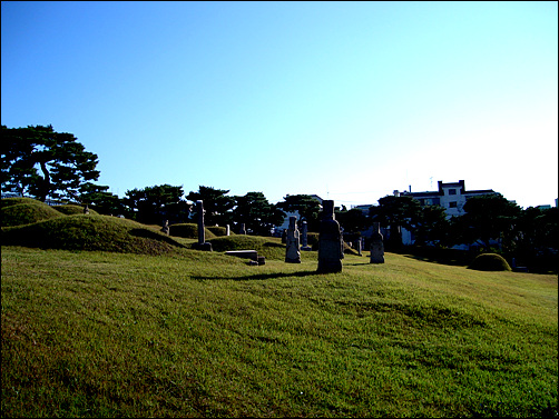 아침해에 묘역의 잔디가 빛난다.