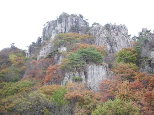 대둔산의 정상 마천대 밑의 가을 모습이 흐드러집니다.