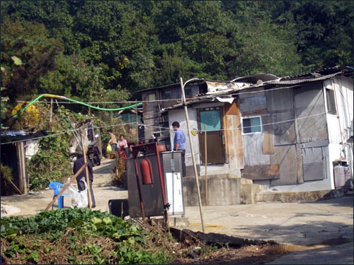  서울 강서구 화곡본동 산 42번지 판자촌.