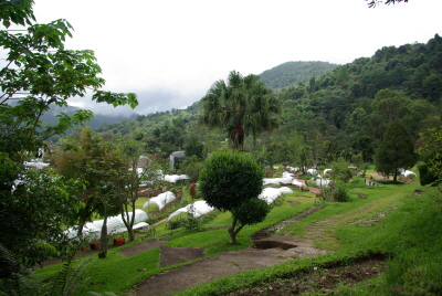 도이 인타논의 왕실프로젝트를 진행하는 농공단지, 이 곳에선 특화 작물 및 꽃 등을 실험적으로 재배한다.
