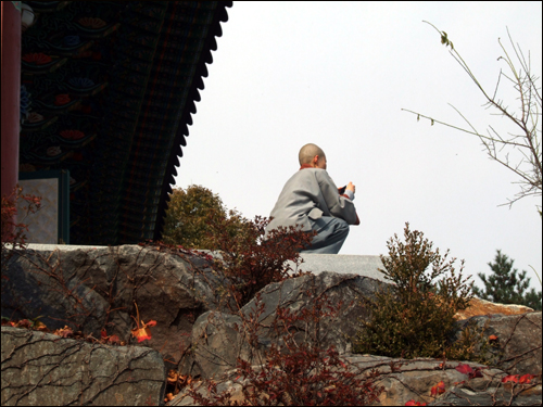  산사의 가을단풍을 카메라에 담고 있는 여스님의 모습.