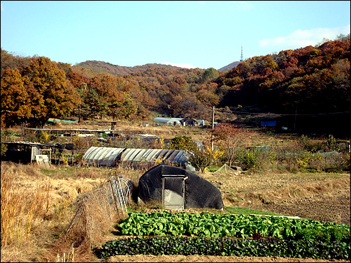  우리 지역문화재 찾아보기 네번째로 정한 심즙신도비를 찾아가다가 둘러본 군수골