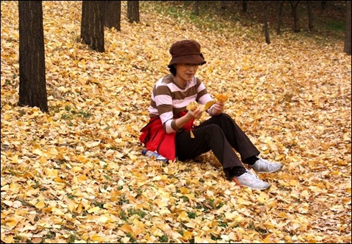 가는 가을이 아쉬운 듯 은행잎을 골라 손에 든 아내