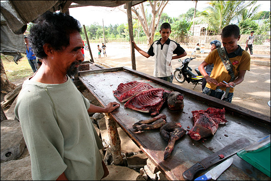 돼지고기를 파는 상인. 동티모르에선 대부분 고기를 이렇게 야외 매대에 놓고 판다.