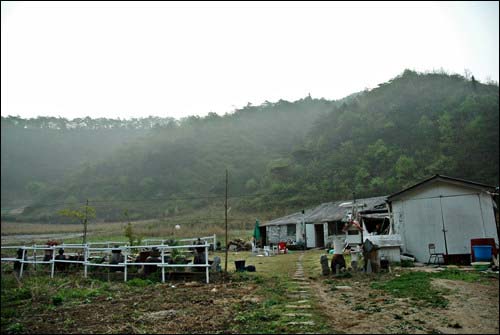 불이 나기 전 강기희 기자의 집 입니다. 안개에 둘러싸인 시골 풍경이 정겹습니다.