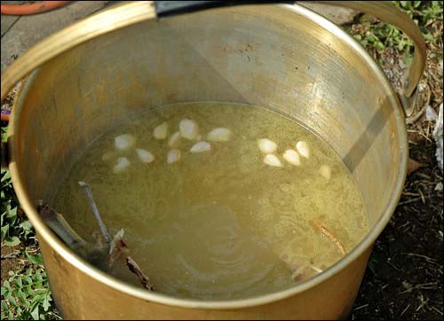 황기와 마늘, 토종닭을 넣고 푹 끓인 국물입니다. 우리부부를 위해서 강기희 기자가 준비했습니다. 이런 모습이 그립습니다.