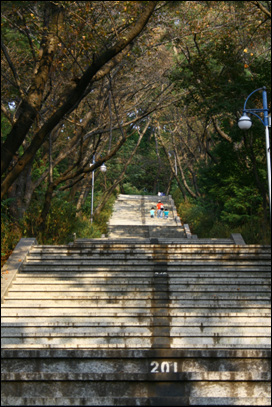  진해탑에 가려면 365계단을 올라가야 한다. 원숭이 보고 싶다고 떼쓰던 아이와 달래는 어머니를 만났다.