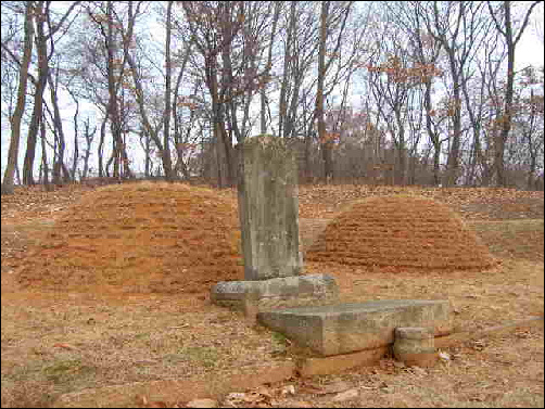 왼쪽이 효종 10년 경선군으로 추증된 석철, 오른쪽이 석린이다. 서삼릉 권역에 있으며 묘역에는 군부대가 주둔하고 있다.