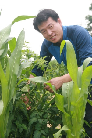 주말농장 인천도시농업네트워크 김진덕 운영위원장이 주말농장에서 직접 재배 중인 토마토를 보여주며 즐거워 하고 있다. 십정동에 위치한 이곳 주말농장에는 토마토, 감자, 고추, 상추, 밭벼 등 다양한 먹거리가 유기농법으로 재배되고 있다. 
