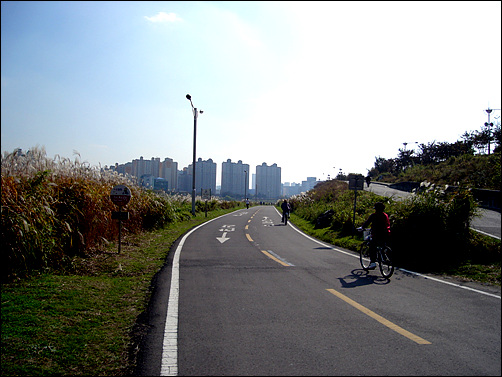 안양천변의 자전거도로가 시원하게 나있다.