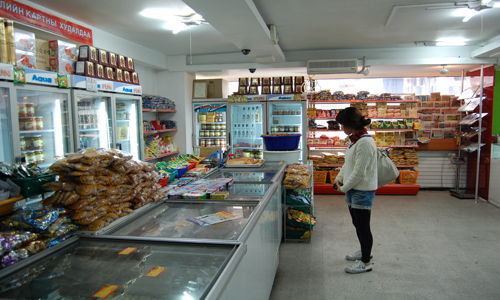 이 곳에는 몽골식료품이 가득하다. 신문, 잡지, 냉동된 양고기와 쇠고기, 과자 등이 있다.