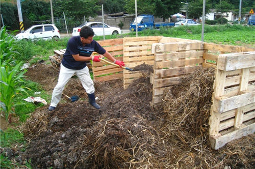 김진덕 인천도시농업네트워크 운영위원장이 십정동 주말농장에서 텃밭에 쓸 거름을 만들고 있다. 거름에는 낙엽, 음식물, 소변, 야채쓰레기 등이 들어간다. 