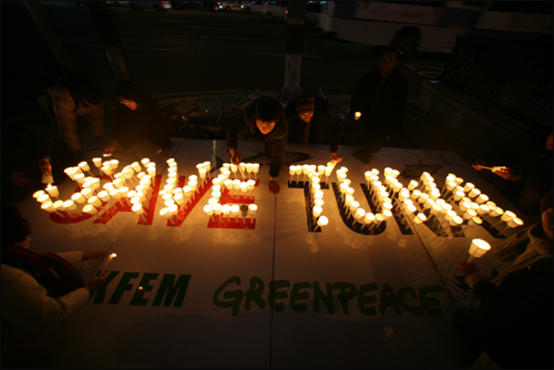 환경운동연합 바다위원회는 12일 부산 롯데호텔 앞에서 남획으로 멸종위기에 처한 참치보호를 위한 생명의 촛불을 켜는 행사를 벌였다.