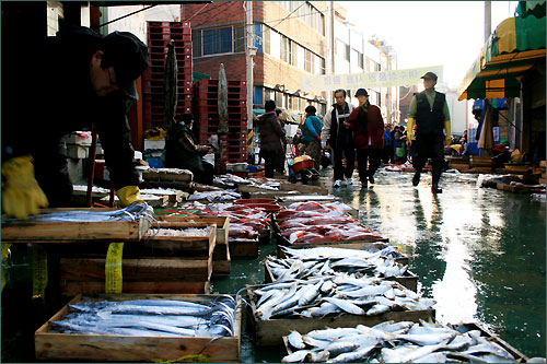 싱싱한 생선이 넘쳐나는 ‘전남 여수 중앙동 구판장' 풍경