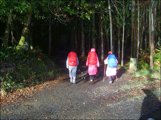 한낮의 어두컴컴한 숲길에 들어서는 한국 여성들