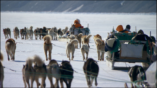 북극 원주민인 이누이트는 사냥을 생업으로 살아 왔다. 하지만 온난화로 인해 얼음이 녹아 사냥이 어렵게 되자 어업이나 농업으로 업종을 전환하고 있다.  
