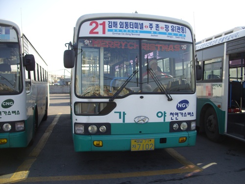 김해 가야IBS 김해21번. 이 버스도 "산타버스"를 운영한다.