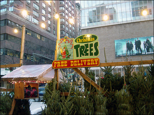 미국의 크리스마스 준비는 트리용 나무를 준비하는 것에서 시작된다. 사진은 뉴욕시 거리의 전나무 행상. 