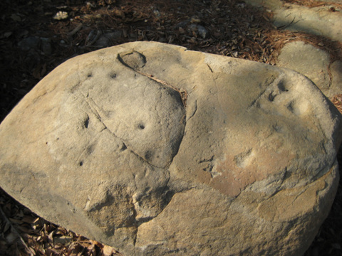 허거리에도 바위 구멍 유적이 효열비각 뒤에 있다.