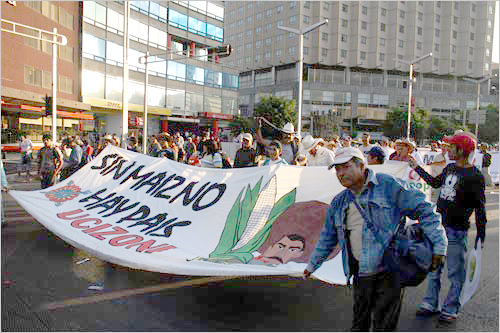 이번 시위의 촉매제인 옥수수 문제를 꼬집은 시위대. 멕시코의 옥수수의 가치는 우리의 쌀과 동급이다.