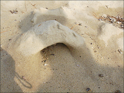 고운 모래밭 한 쪽에는 발로 살짝 건드리기만 해도 그대로 무너질 것만 같은 모래성 하나가 쌓여 있다
