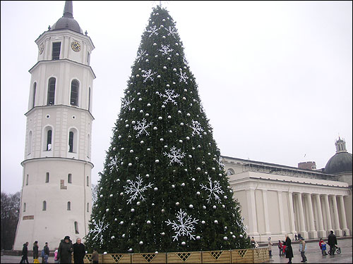 리투아니아의 심장이라 불리는 대성당 광장에 마련된 대형 크리스마스 트리. 