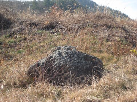 고인돌로 보이는 돌에 무수히 많은 바위구멍이 가득차 있다.