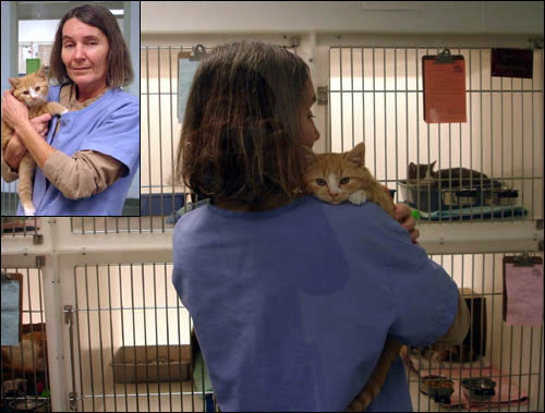 자원봉사자로 SPCA와 처음 인연을 맺었던 직원 샬로트(52)는 동물이 좋아 아예 이곳으로 직장을 옮겼다. “동물을 돌보는 일은 대단히 보람있는 일이에요.” 

