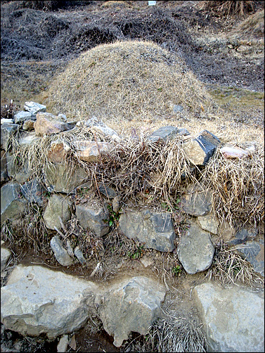 산성의 석벽이었을 돌들이 무덤을 둘러치고 있다.