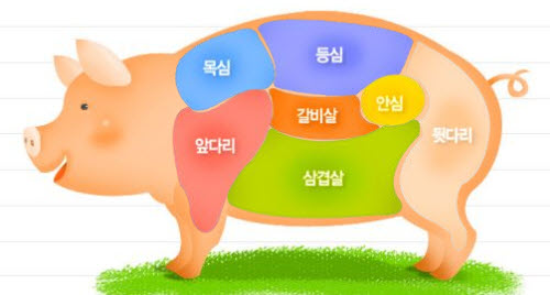 돼지의 부위별 고기 분포도