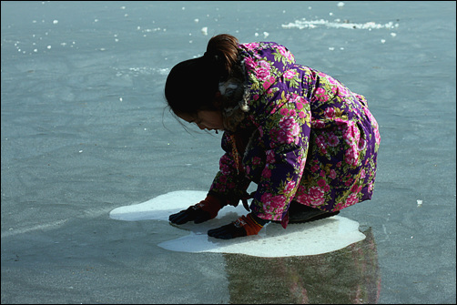 한파가 이어지면서 남한강과 북한강이 만나는 두물머리도 얼어붙었다.