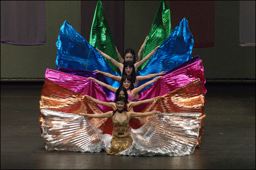 전문프로벨리단원들이 벨리댄서의 매력을 윙 춤으로 뽐내고 있는 광경.