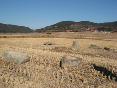 둥글게 배치된 것과 돌 구조가 왕릉으로 추정된다.