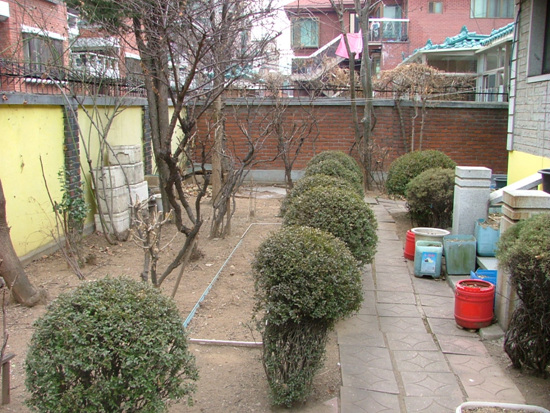 서동욱씨 집 작은 정원