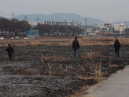  시 하천관리사업소 직원들이 화재현장을 살피고 있다.