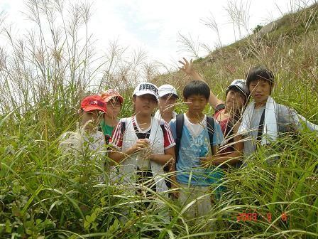 부곡 초등학교 6학년 아이들이 지난해 가을 화왕산에 올랐다.