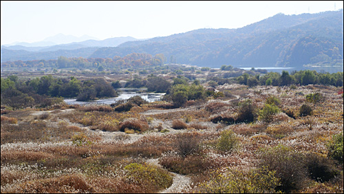 여주의 남한강 구간은 강변의 원형을 그대로 간직하고 있다. 지난해 내셔널트러스트상을 수상한 바 있는 남한강 습지 바위늪구비.