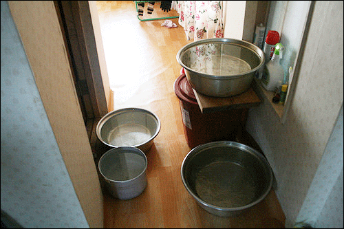 김 할머니 집안에는 물이 담겨 있는 양동이가 한켠을 차지했다.