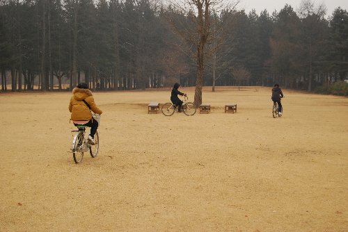 젊은 친구들끼리 잔디밭에서 자전거를 타며 즐거운 추억을 만끽하고 있다.