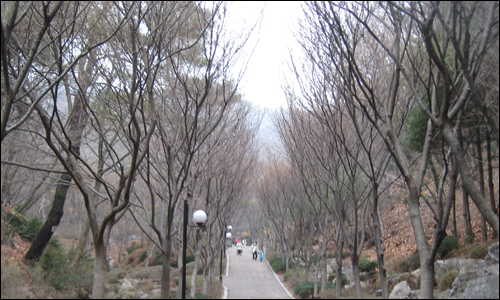  두능산 입구 들머리. 고즈넉한 분위기가 참 좋다.