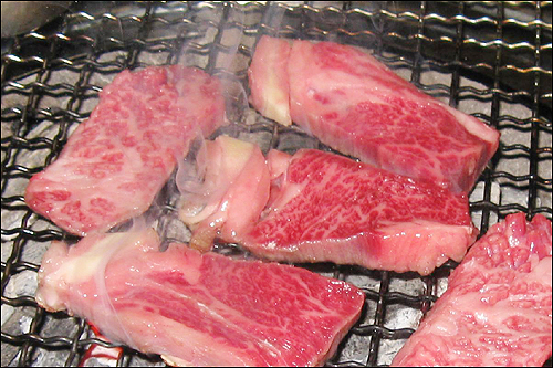 참숯 쇠고기 구이 한 점 입에 넣자 몇 번 씹을 틈새도 없이 사르르 녹아내린다
