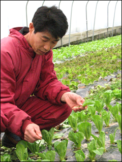 김상식 두리농원 대표
