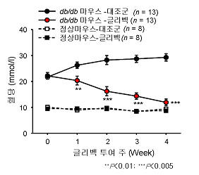 당뇨병이 발생한 실험용 쥐(db/db 마우스)에 글리벡 투여후 혈당이 효과적으로 정상치로 떨어졌다. 혈당이 거의 정상화된 도표를 볼 수 있다. 