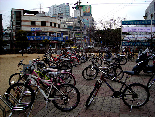 자전거 이용객들이 많아 보인다.